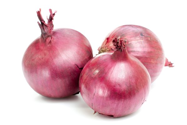 Mega onion darknets